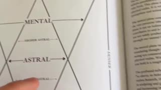 What are programming? Are we being programmed?