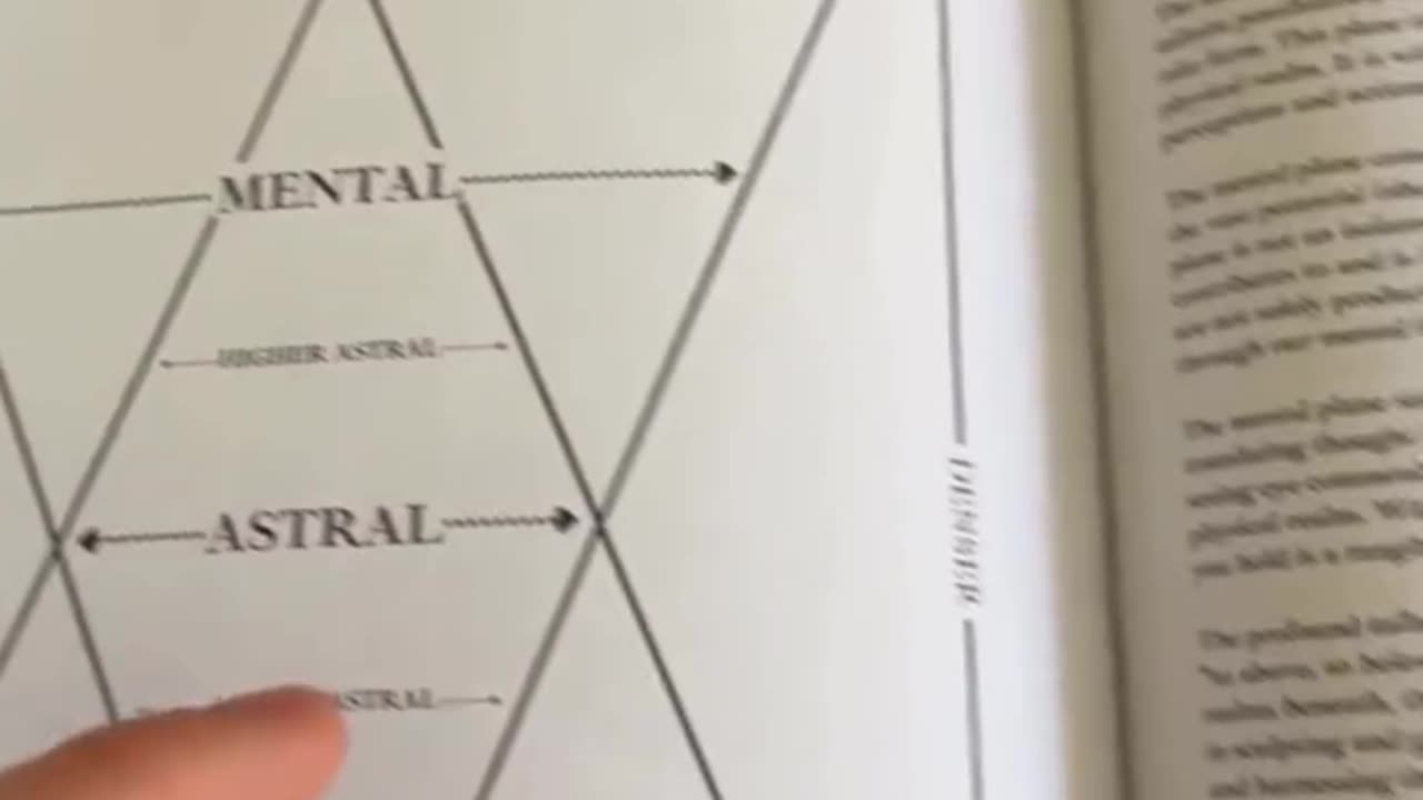 What are programming? Are we being programmed?