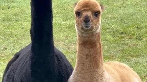 How me and my bestie look judging everyone 🤣 😂