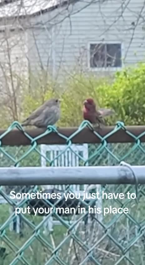 Trying to reason with the wife when she is angry