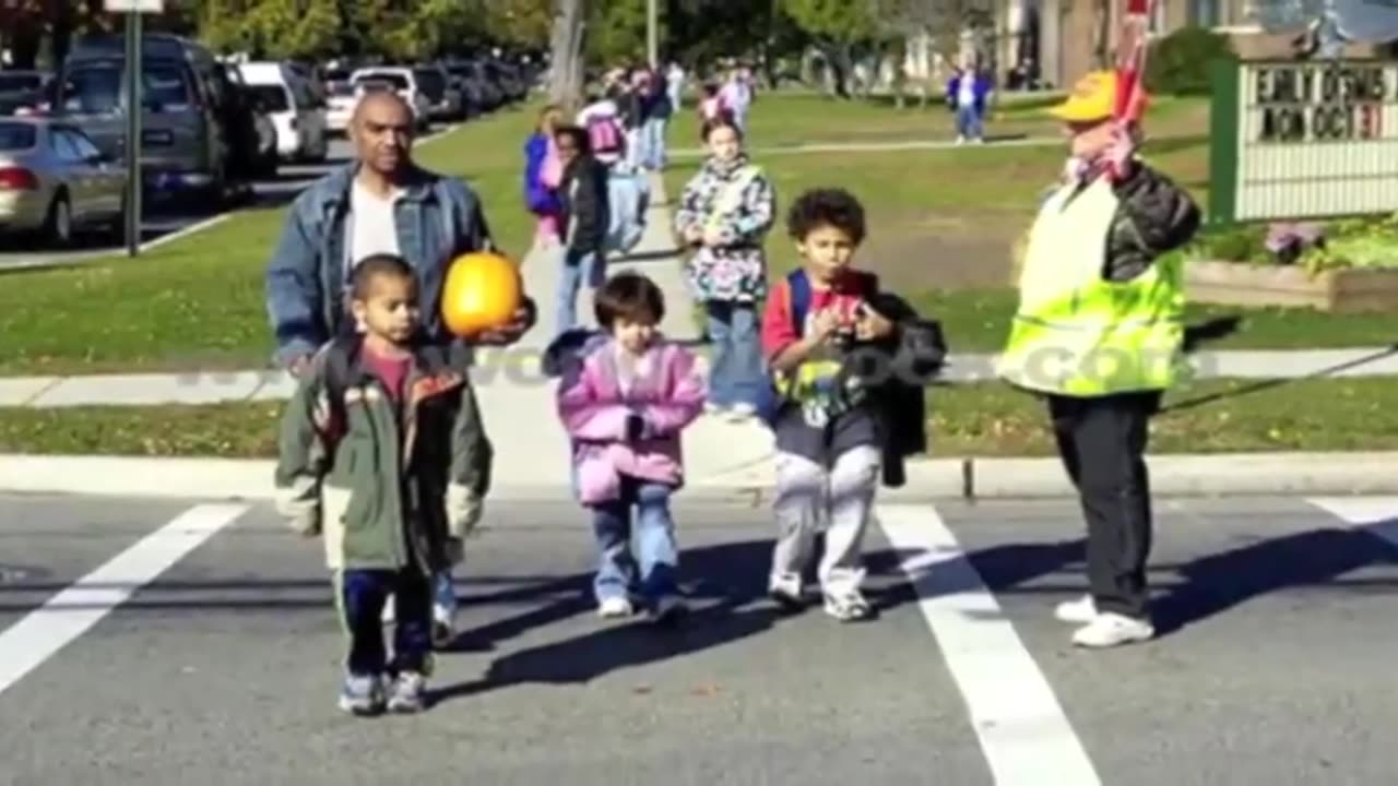 Please move the deer crossing signs 😂