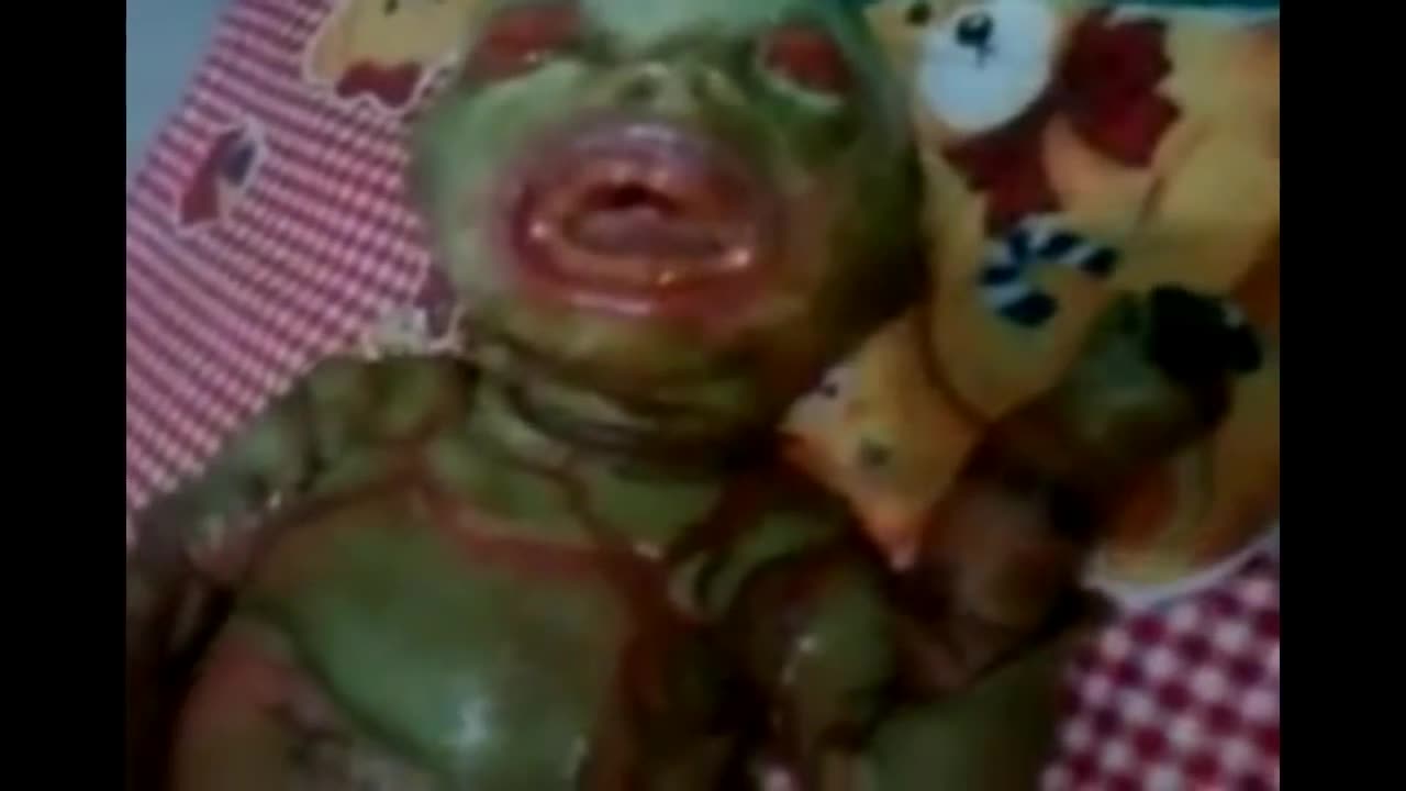 REPTILIAN BABIES FROM DUMBS