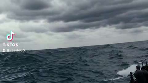What is that? Kraken signting?