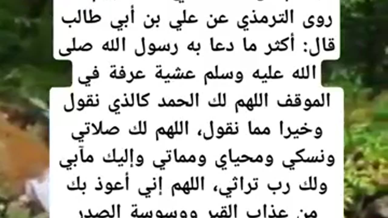 ما افضل ما يقال في يوم عرفه ؟