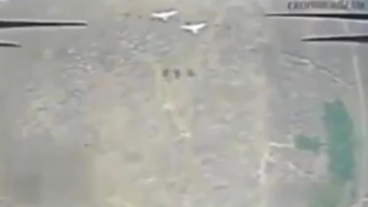 🤬 Russians use drone to attack bird in Ukraine…