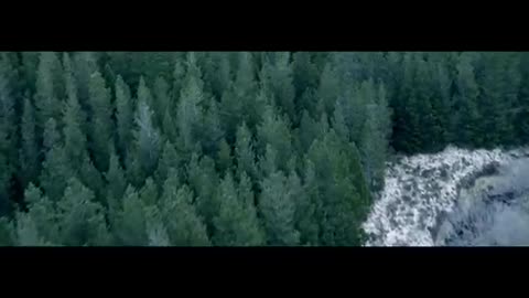Harry Styles - Sign of the Times (Official Video)