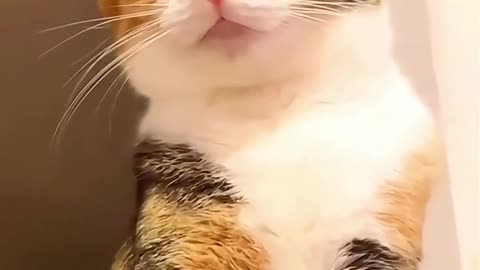 What do you think Are you hungry