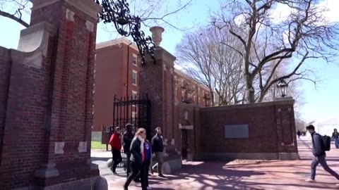 Federal judge blocks Trump administration decision to bar foreign student enrollment at Harvard