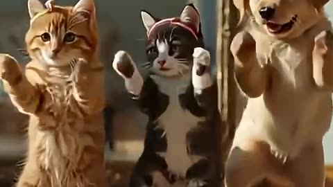 🐱💃 When Your Cat Outdances You!