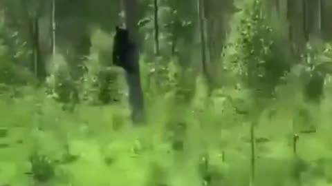 🌟🌿 Nature's Unexpected Surprise! | FunFM