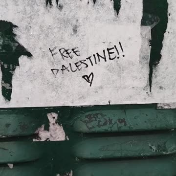 New Yorkers: "FREE PALESTINE!!❤️"