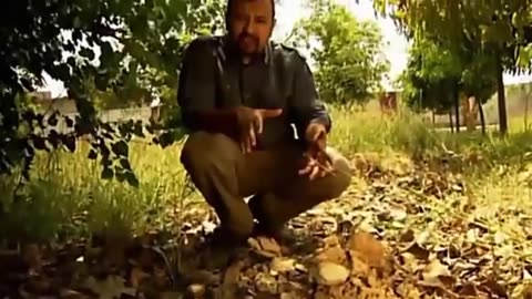 Indian infant sacrifice rescue