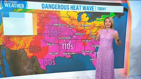 Today Show's Super Lovely Dylan Dreyer With Her Gang On 072125