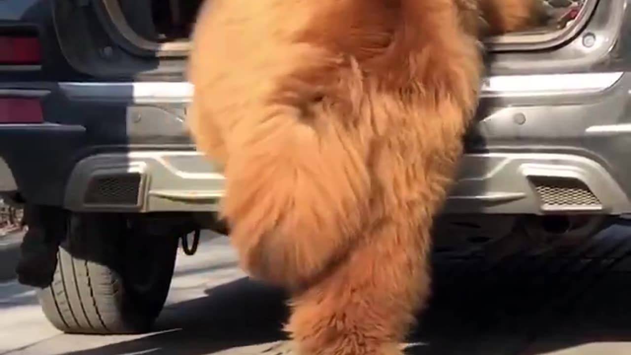 Woe Day 66. I am in the ark. Waiting for GOD to open the Door for a spring/summer Pentecost rapture