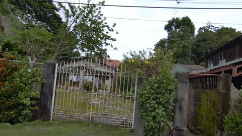 Plants & Trees on San Jose Steet in San Antonio, Zambales, Philippines