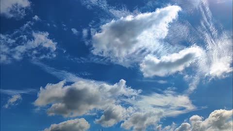 Bright Blue Noon: The Sky at Its Purest