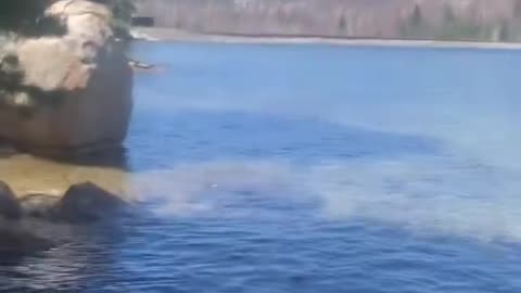 MOM FILMS LAKE TAHOE WATER BUZZING: HAARP-LIKE RADIO FREQUENCY.