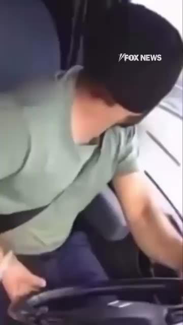 An illegal immigrant truck driver has been arrested and kill 3