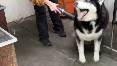 At Least He Didn't Overreact