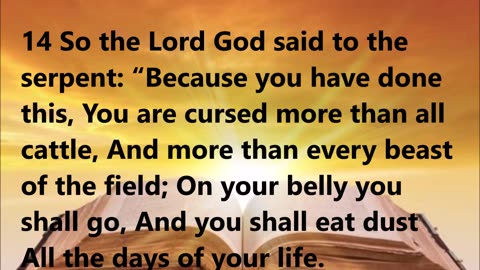 God’s Curse