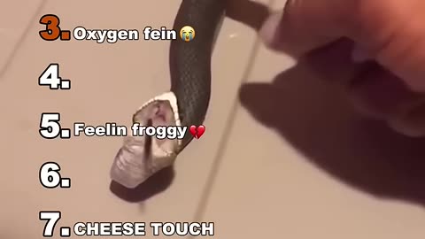 funny video