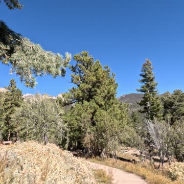 Sunny Mountain Trail Wellness Zen Vibes #mountains #wellness #trial