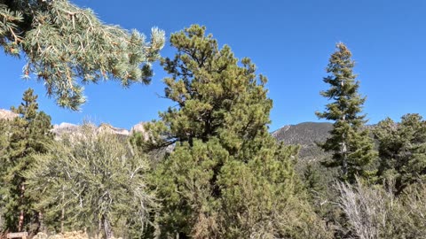 Sunny Mountain Trail Wellness Zen Vibes #mountains #wellness #trial