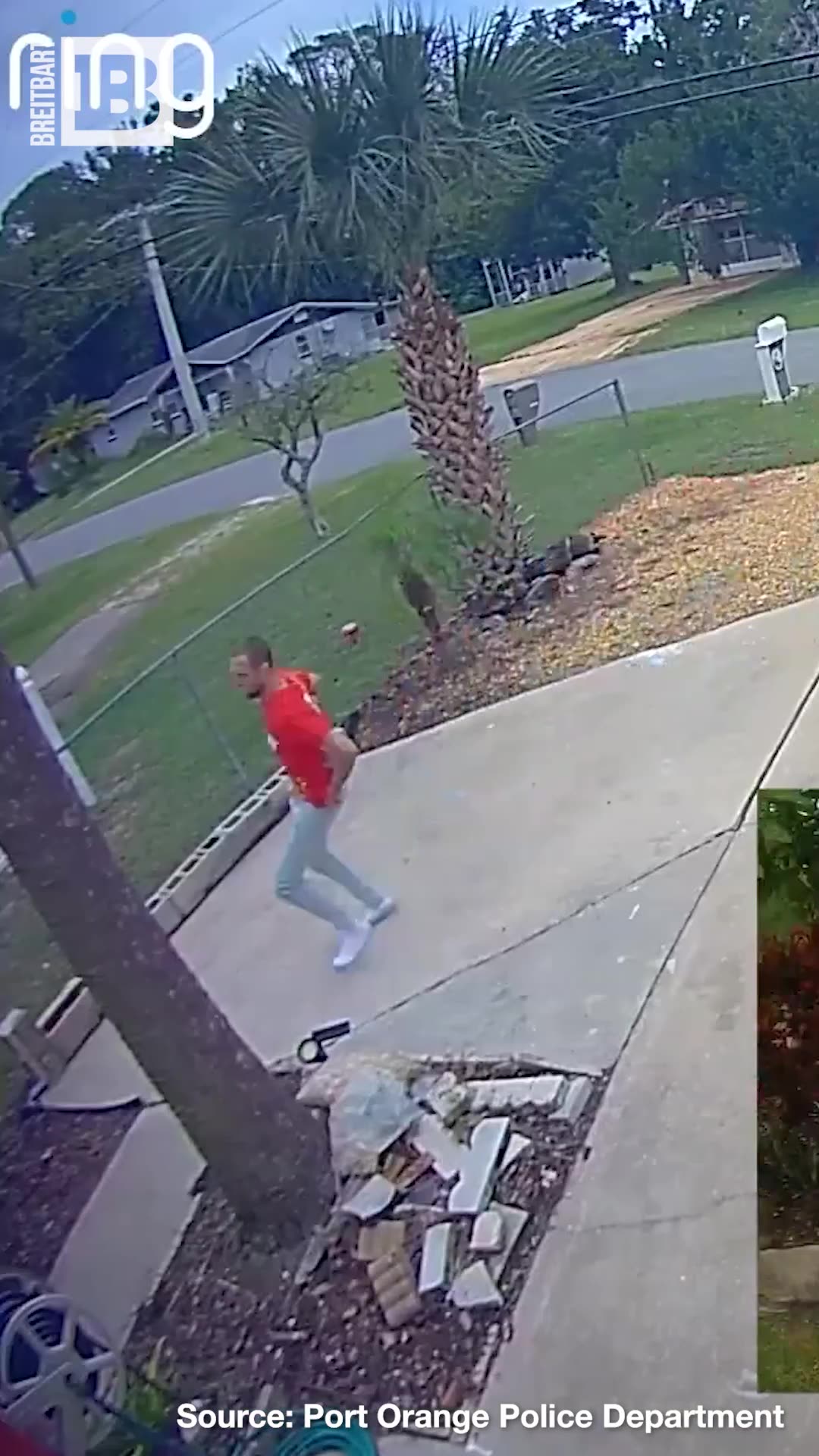 Suspect in Tom and Jerry Shirt Attempts to Escape Police After Running from Traffic Stop