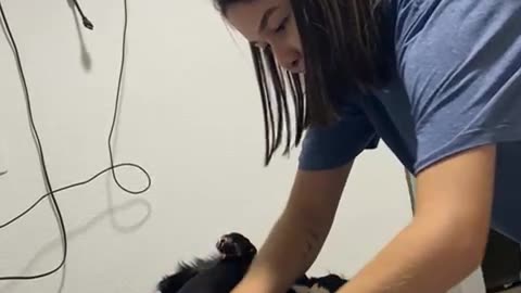 Puppy Maya Wants Moisturizer