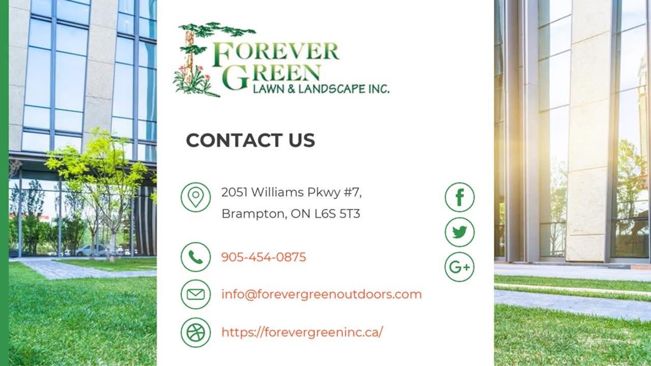 Lawn Neglect vs. Routine Care _ A Smart Lawncare for Businesses