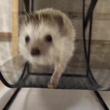 Cardio workout in the morning 😊