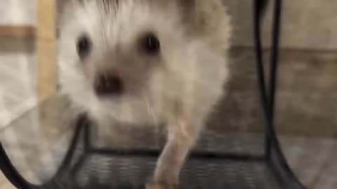 Cardio workout in the morning 😊