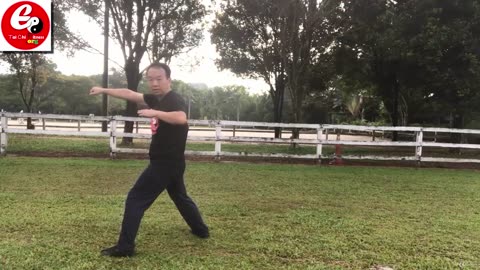 Aerobic Tai Chi Workout-025-Subdue the Tiger