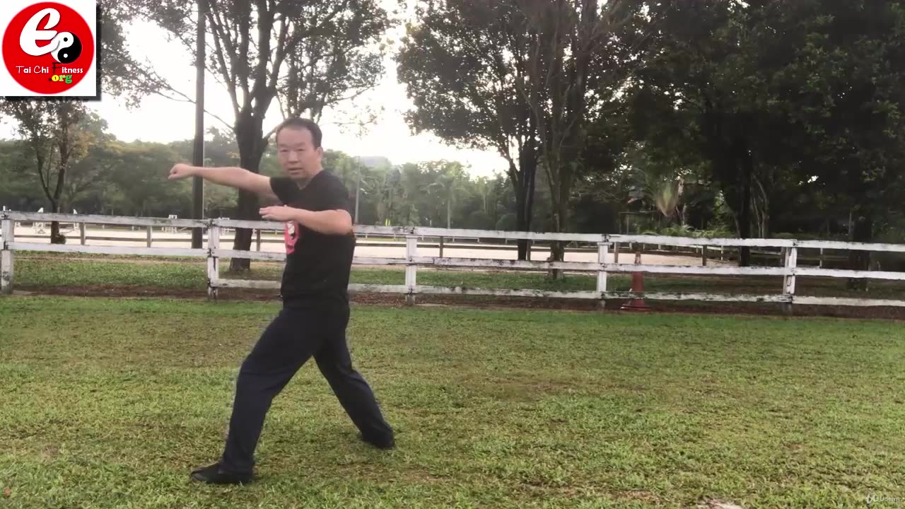 Aerobic Tai Chi Workout-025-Subdue the Tiger