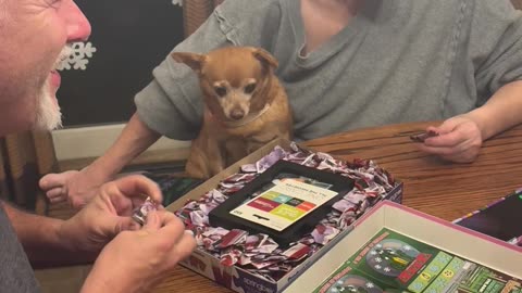 500 Piece Puzzle Individually Wrapped