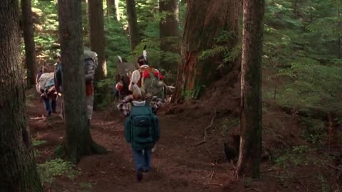 58. WALT DISNEY'S Man of the House