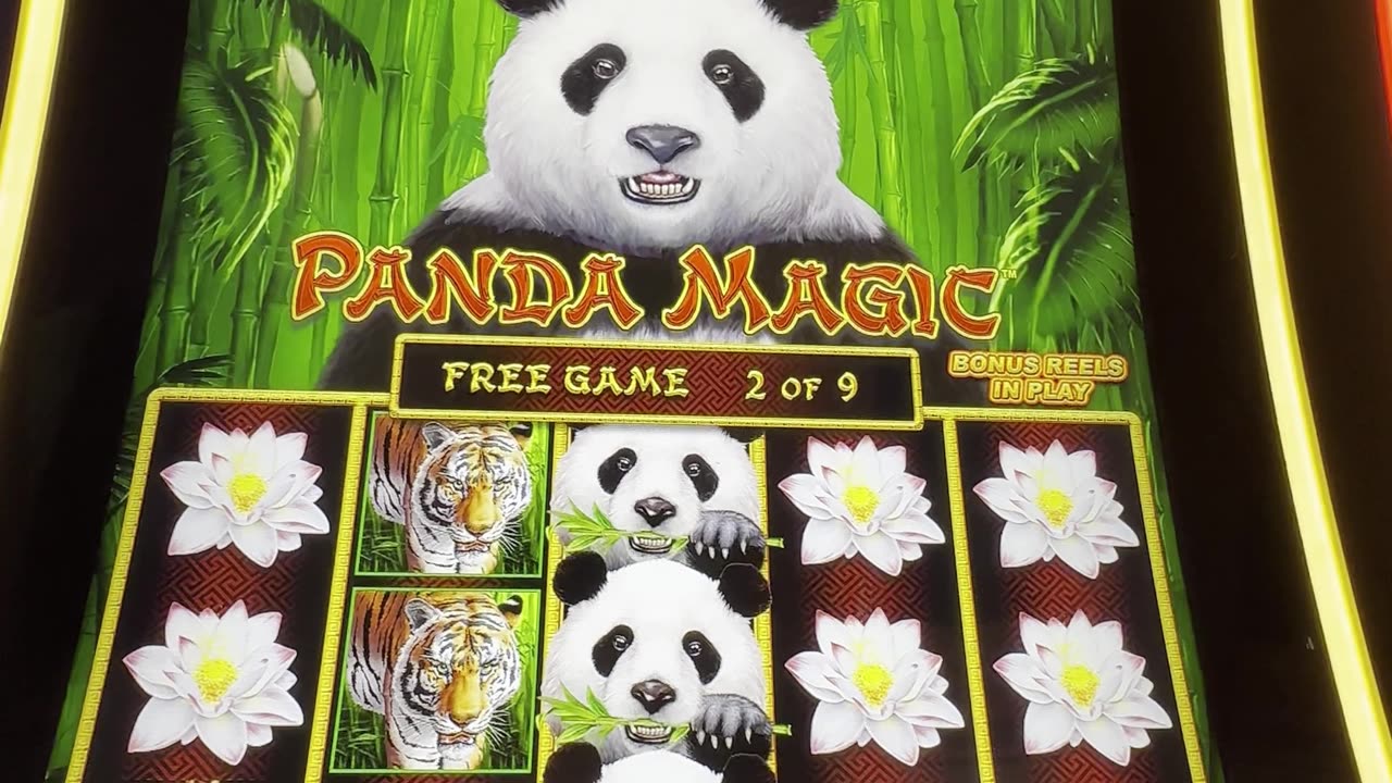 #DragonLink #PandaMagic #bonus 🐼🎰⚡️