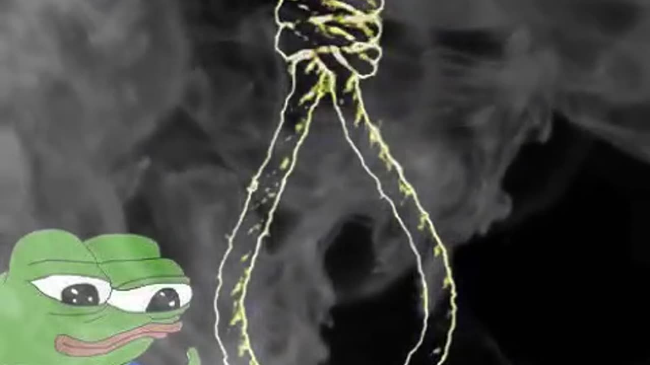 Q Frogs Of War