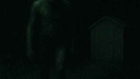 The Man in the Shed | A True Story