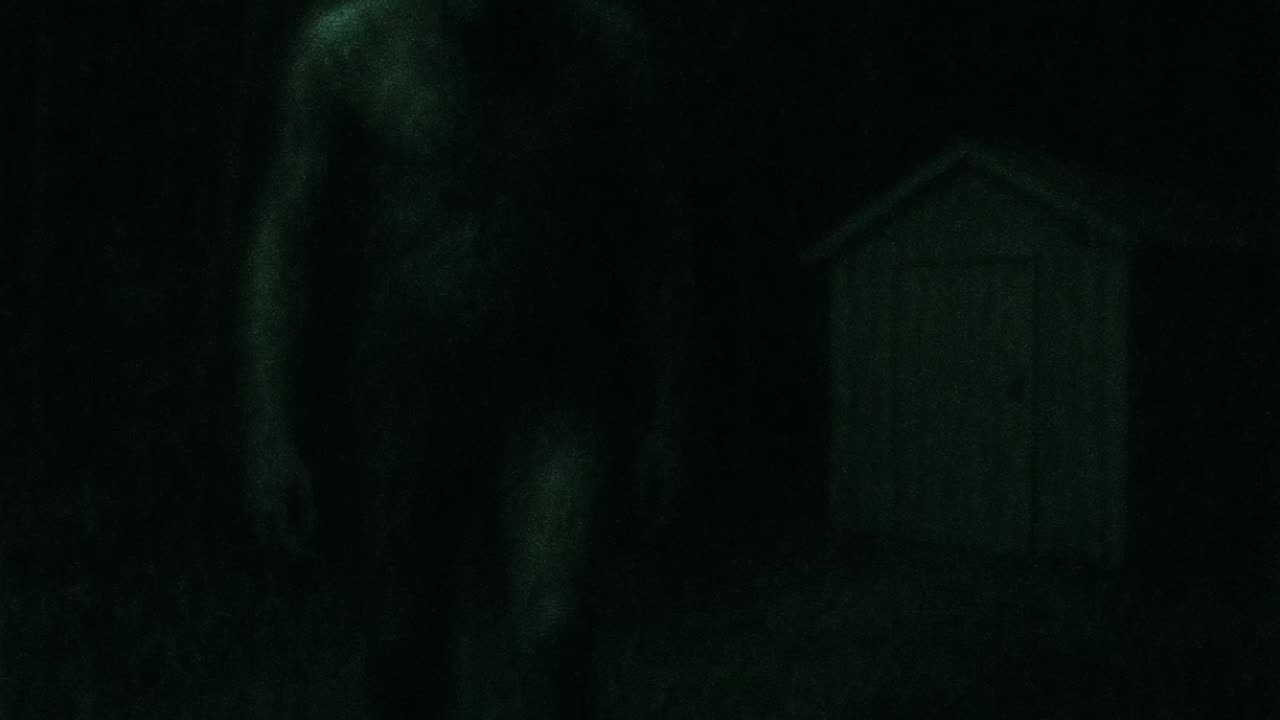 The Man in the Shed | A True Story