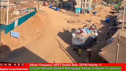 Oduu Ganama ONM-ABO Onkoloolessa 17-2025 itti dhiyaadhaa!