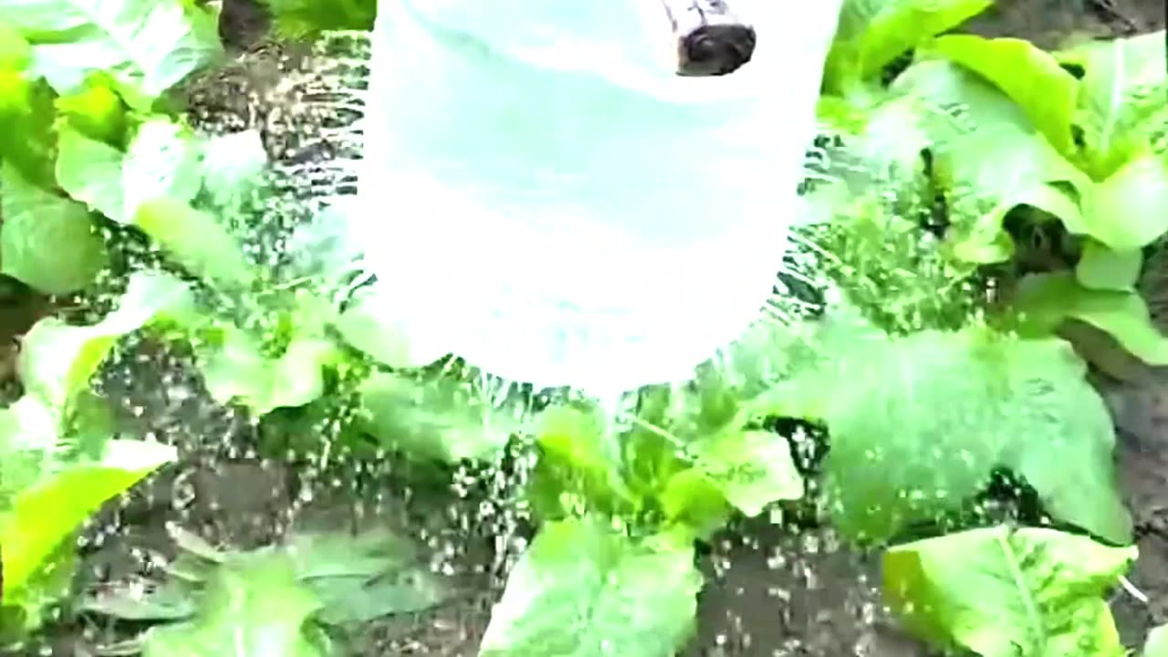 Do you possess the same level of intelligence as him?