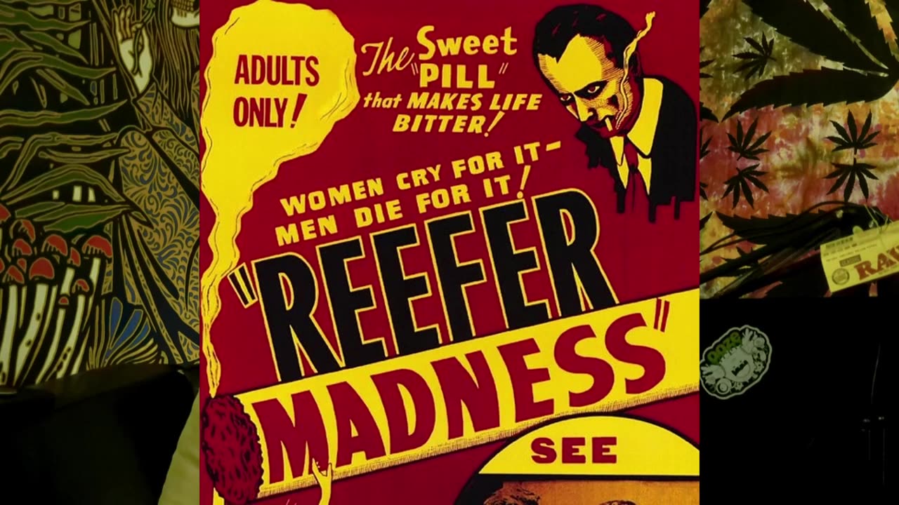 History of the joint canna history ep 2