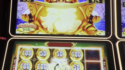 Stuffed Coins Slot - Golden Pig 🐷🎰💲