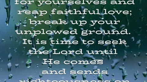 Seek the Lord