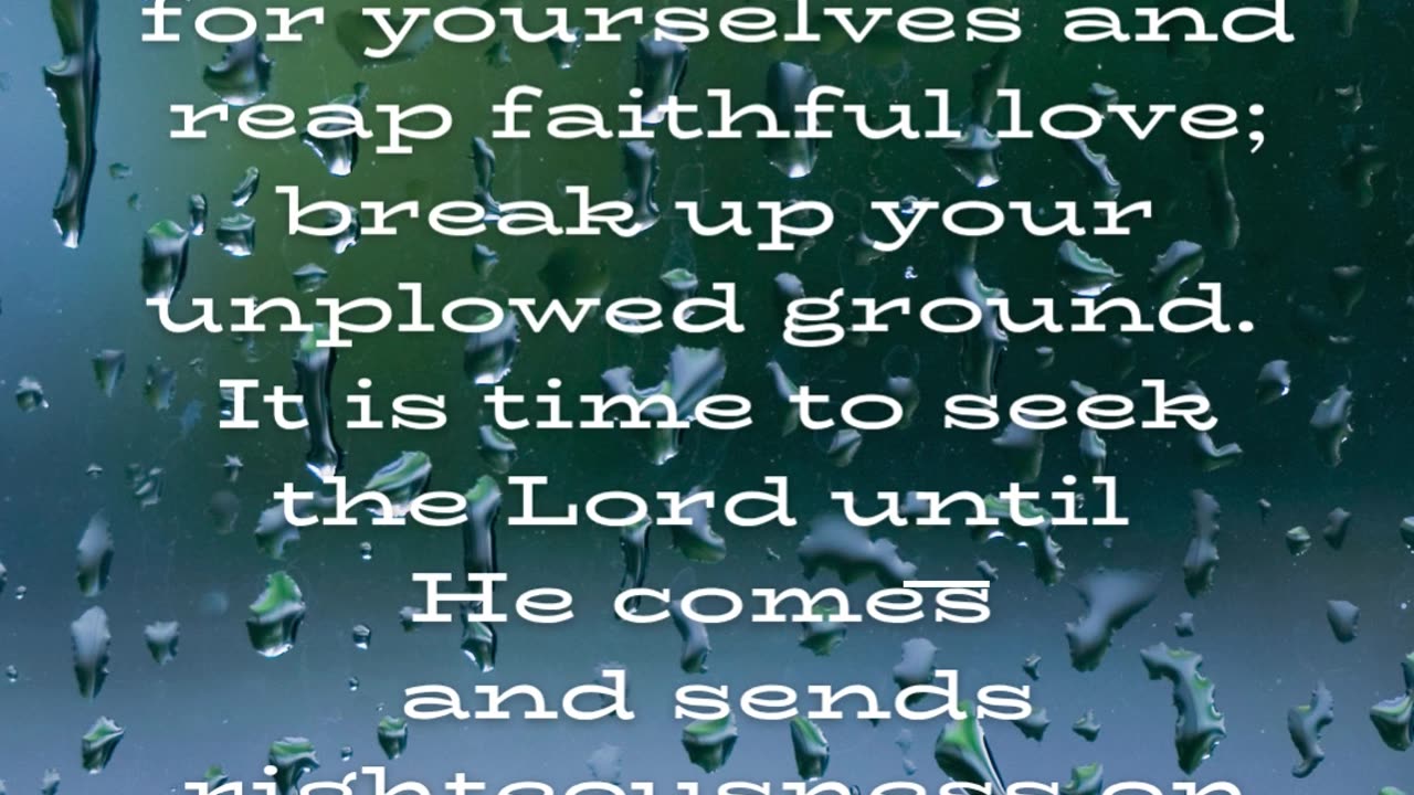 Seek the Lord