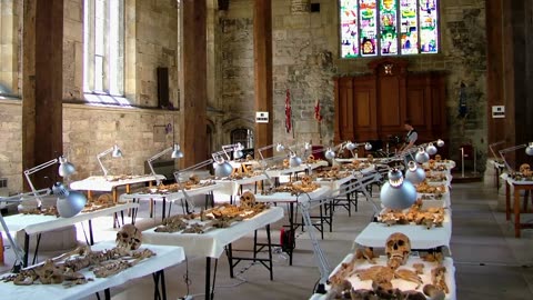 Secrets Unlocked: Series 1_Part 23: Headless Gladiators of York