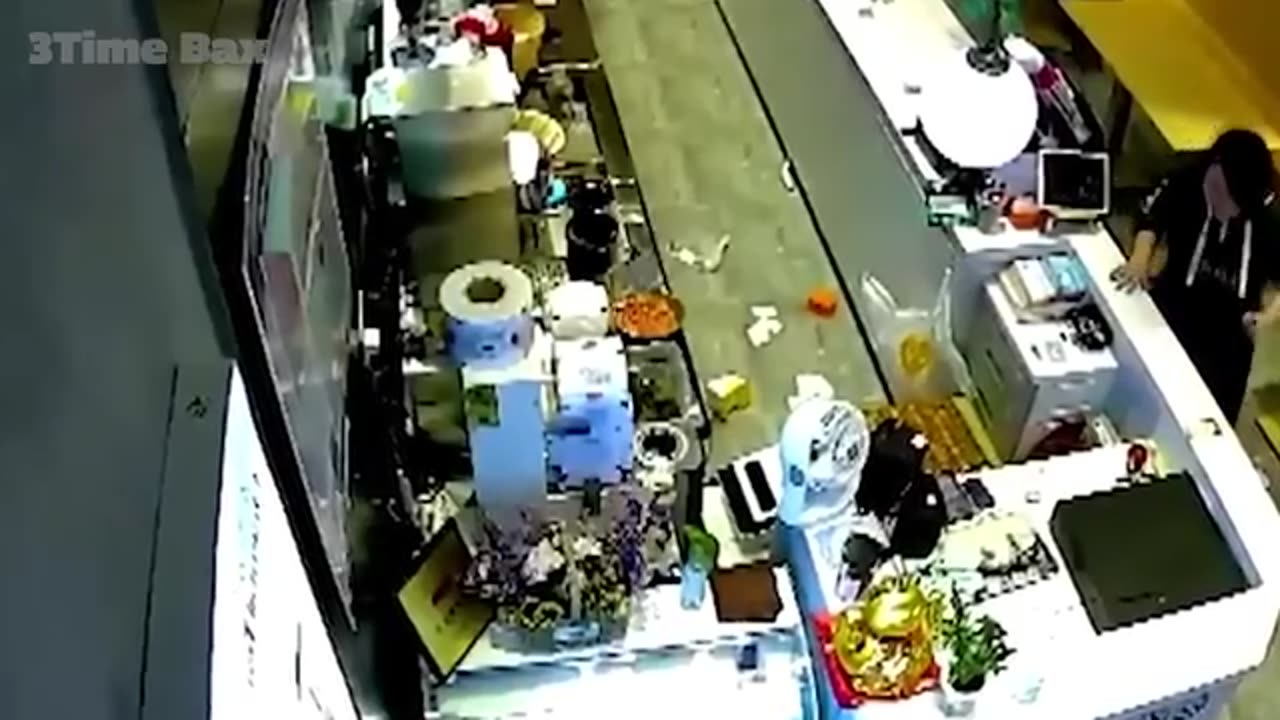 animals