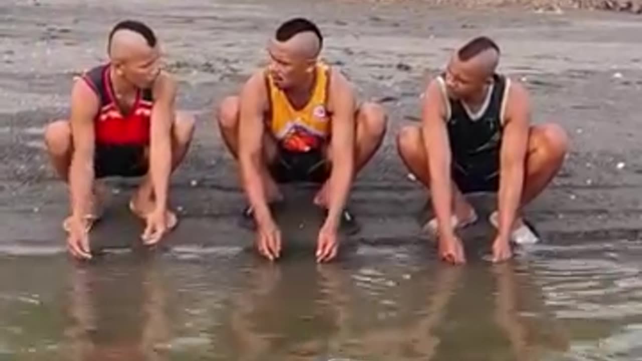Funny video