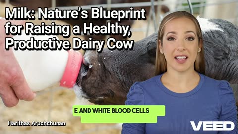 Milk:Nature's Blueprint for Raising a Healthy,Productive Dairy Cow